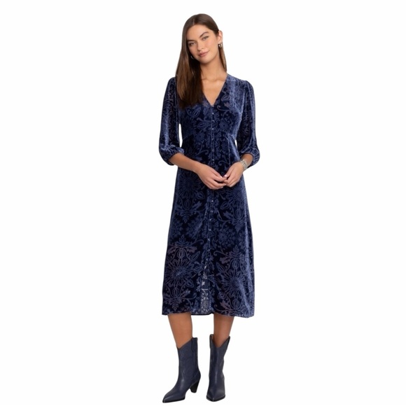 Jade Dresses & Skirts - Johnny Was JADE Ryan Silk Velvet Burnout Midi Dress Bohemian Whimsigoth Floral